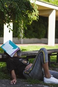 person sleeping under a tree with a book