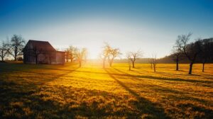 daybreak on a ranch 